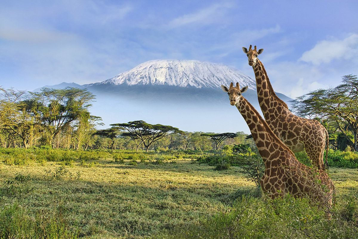 Amboseli National Park