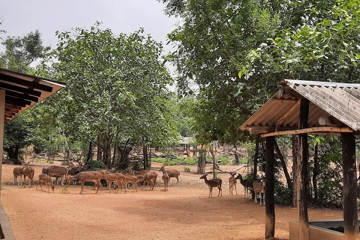 Ballavpur Deer Park