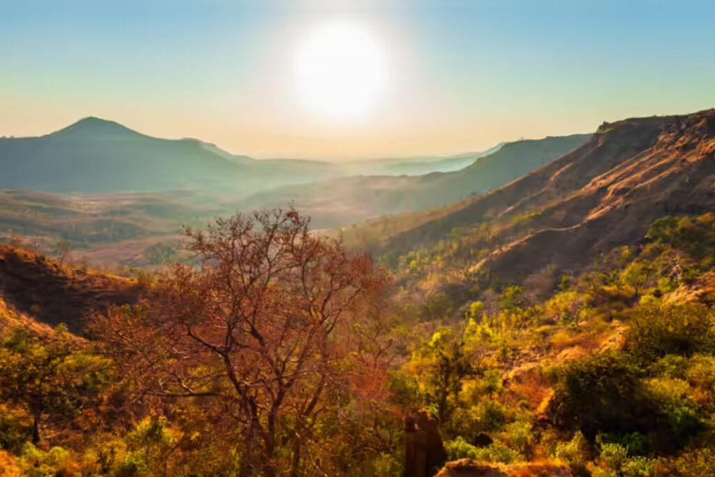 Madhya Pradesh Tour Four