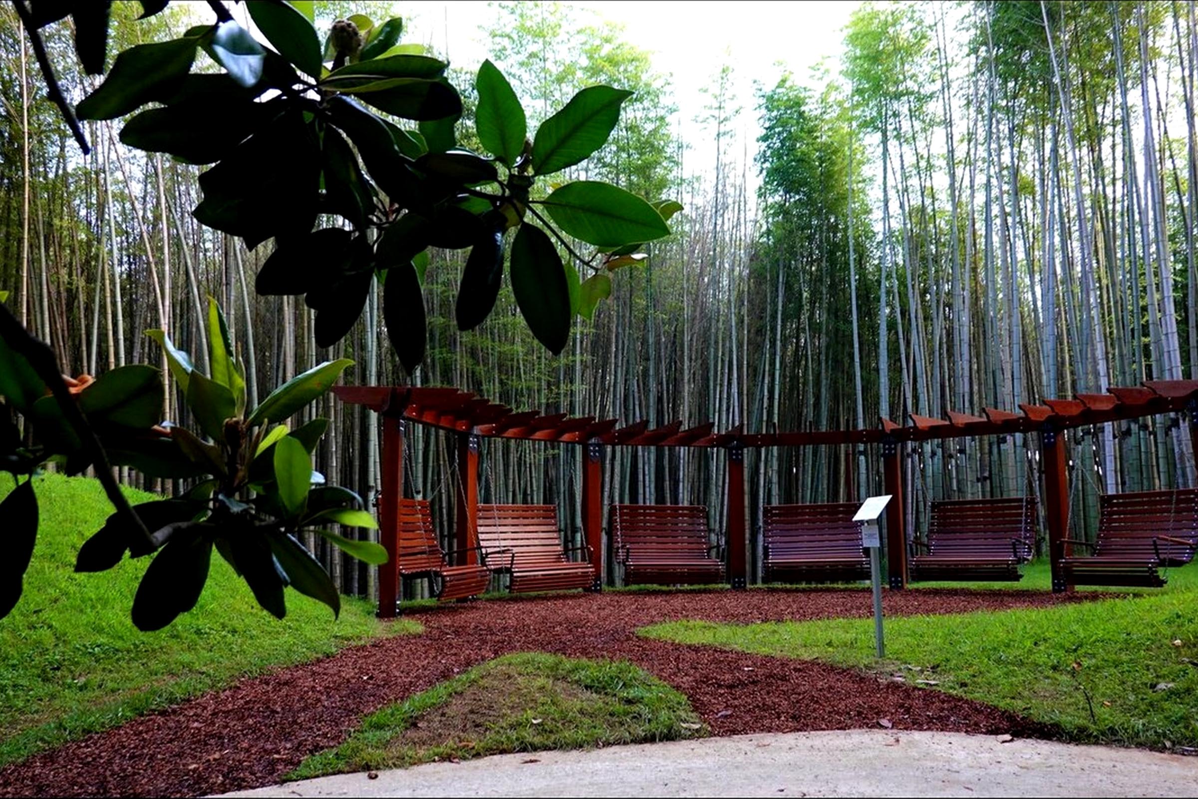 Dendrological Park