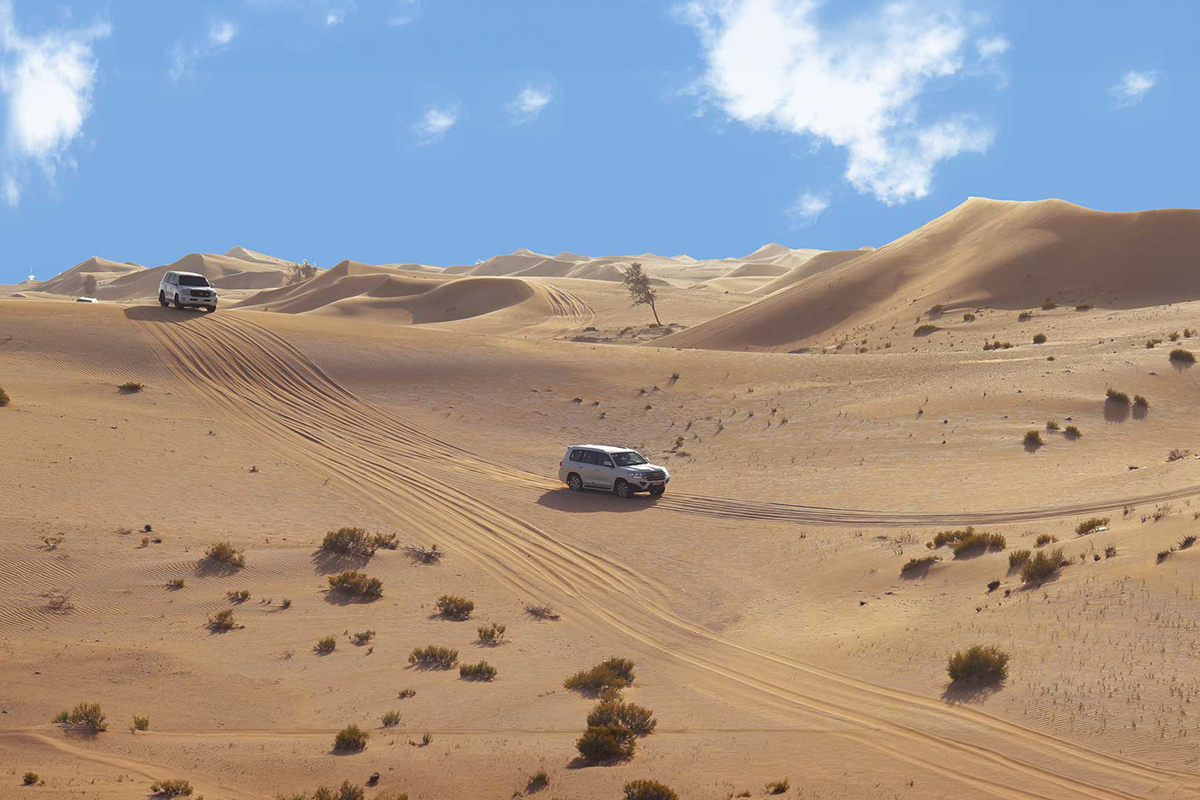 Desert Safari