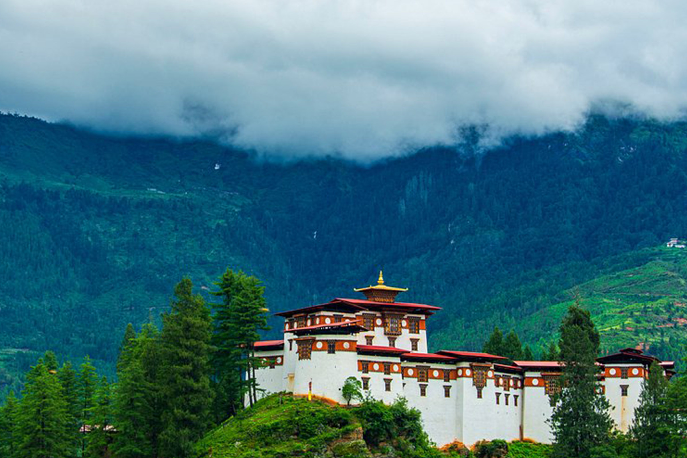 Drukgyal Adamas Holidays