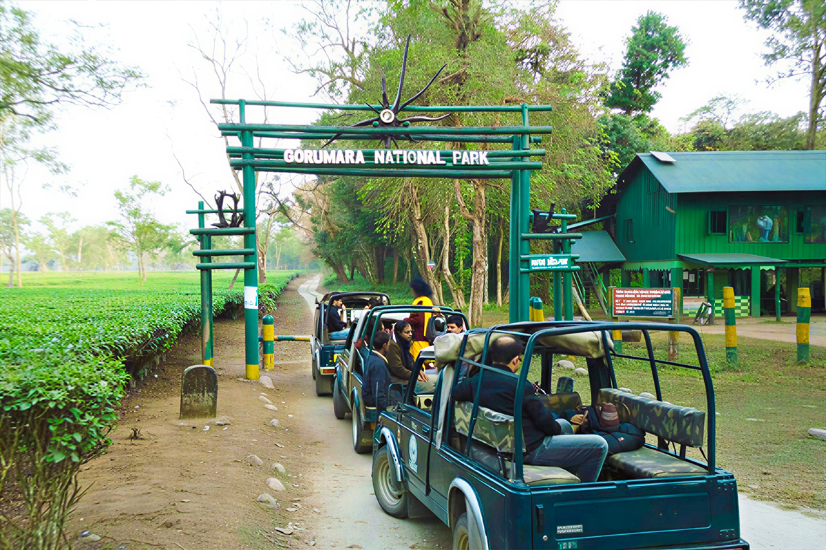 Gorumara