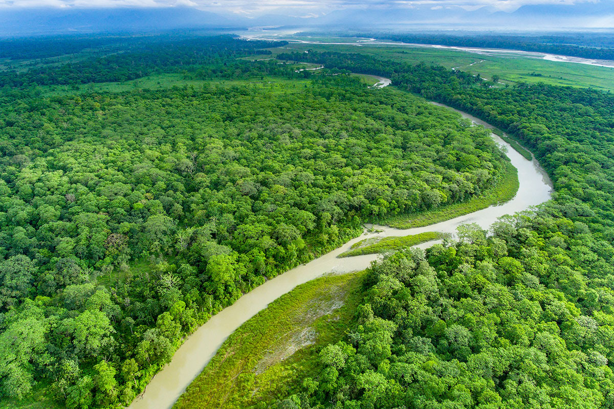 Jaldapara National Park