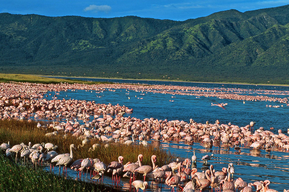 Lake Nakuru National Park