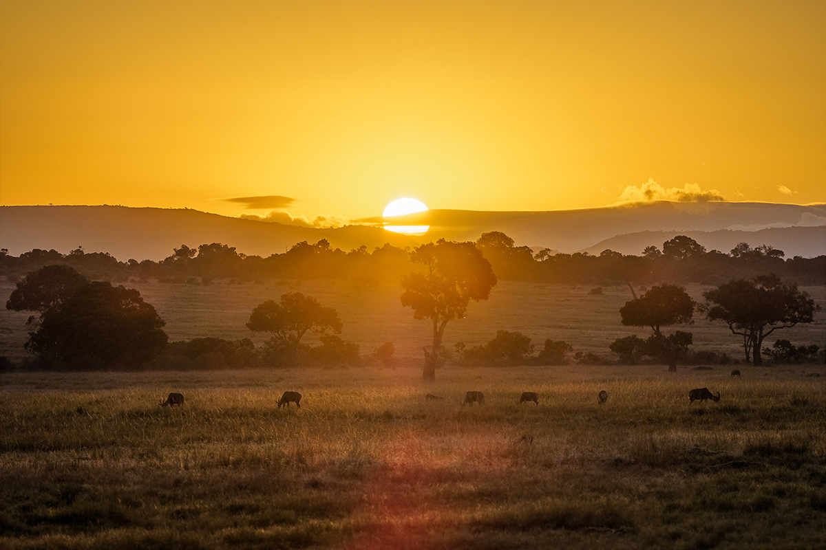 Masai Mara National Reserve
