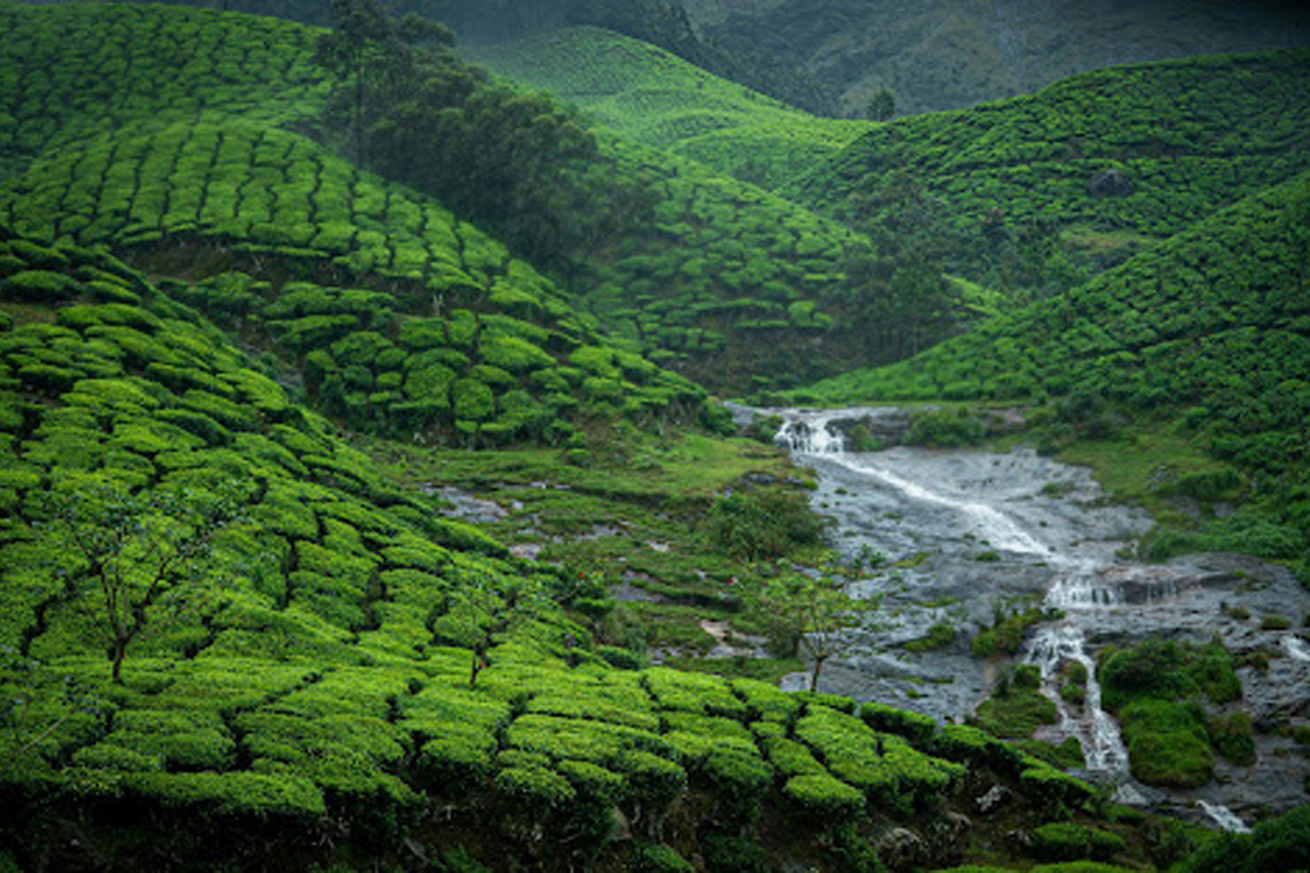 Munnar