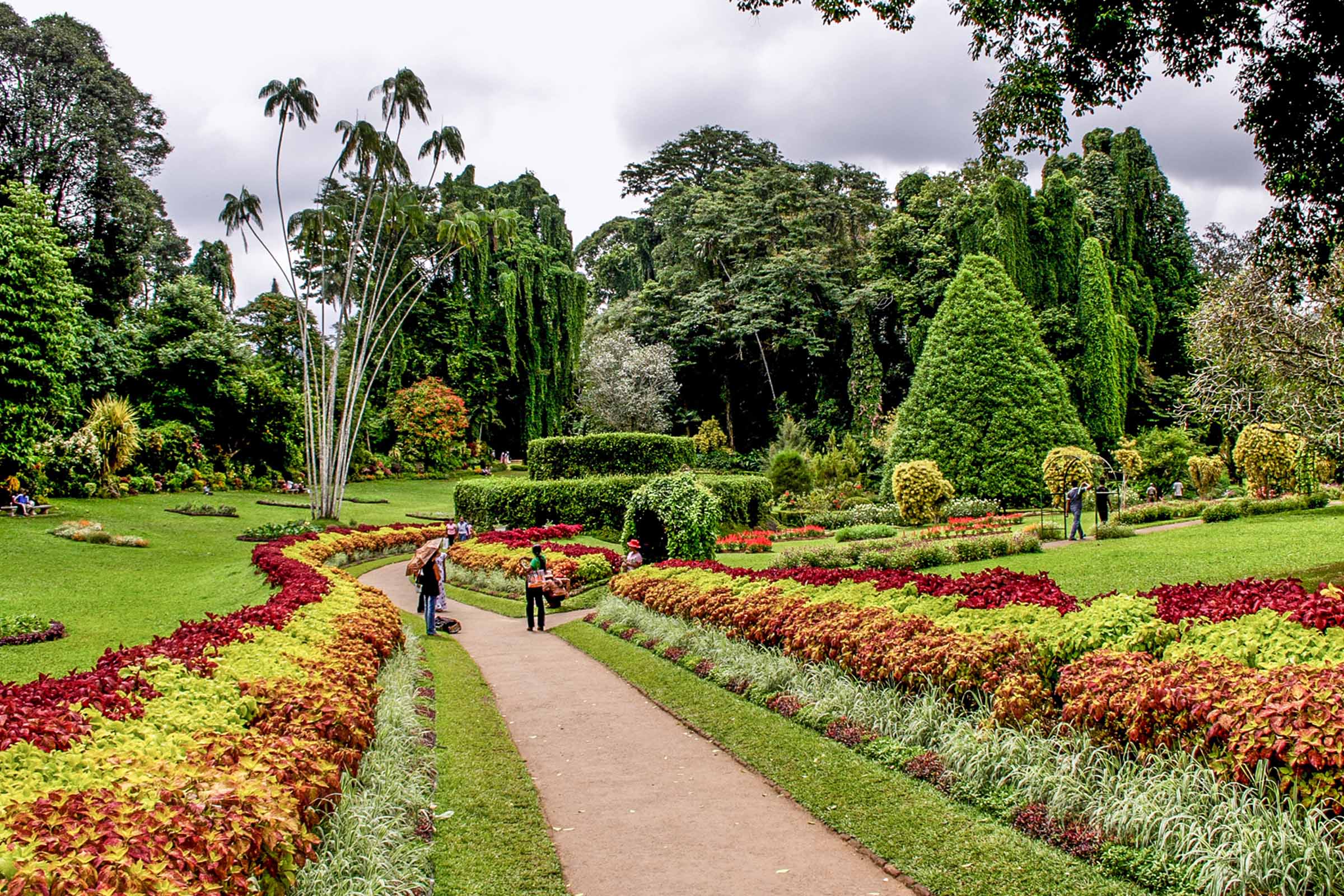 Peradeniya Botanical Gardens