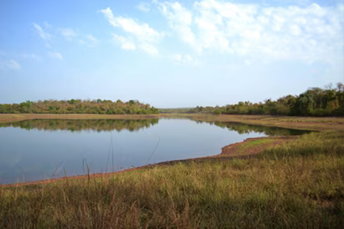 Tadoba Lake