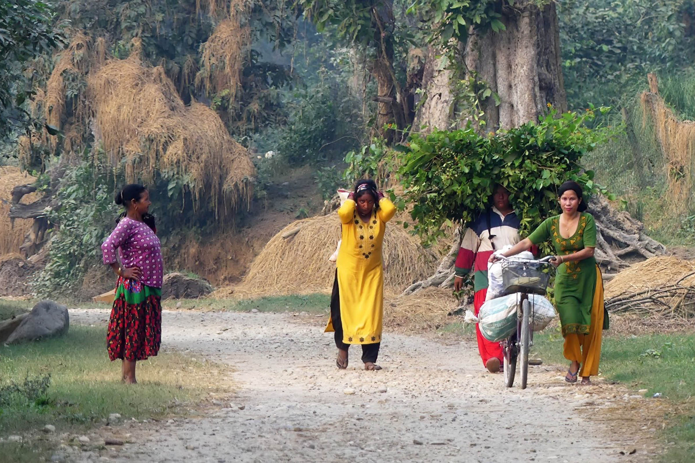 Tharu Village