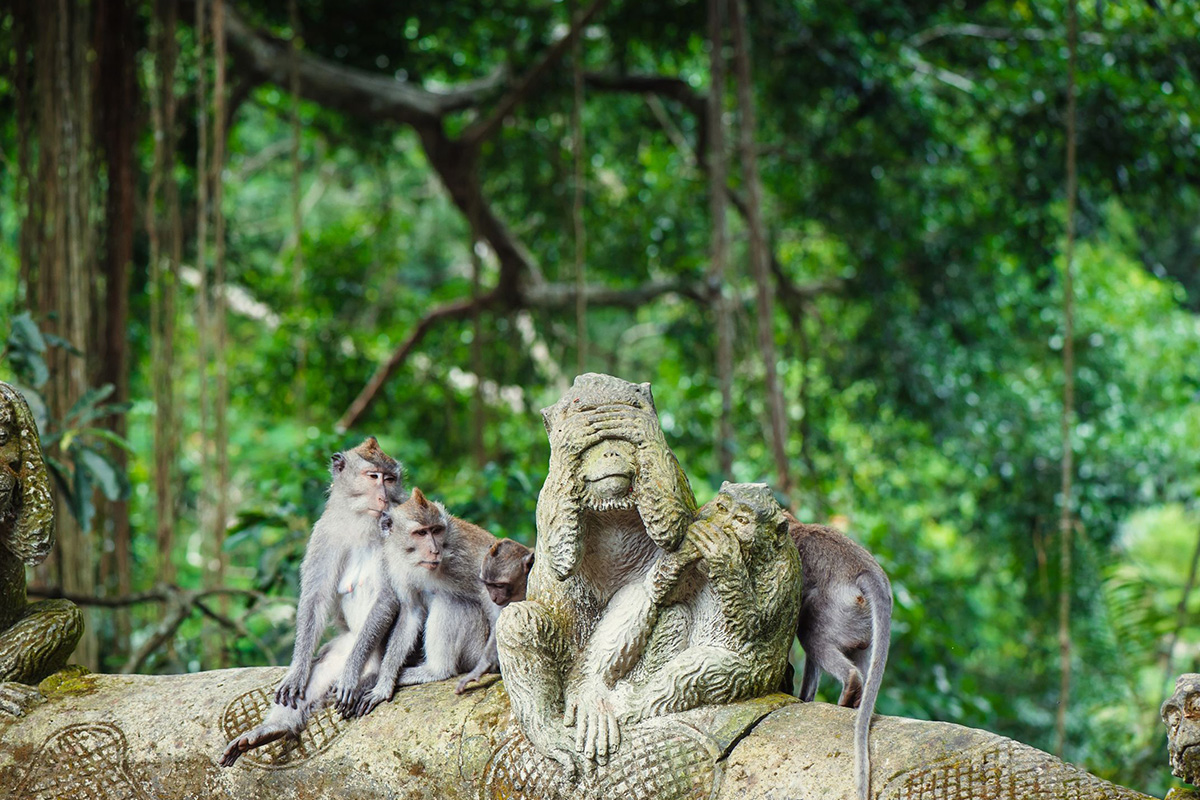 Ubud Monkey Forest