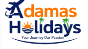 Adamas logo (1)